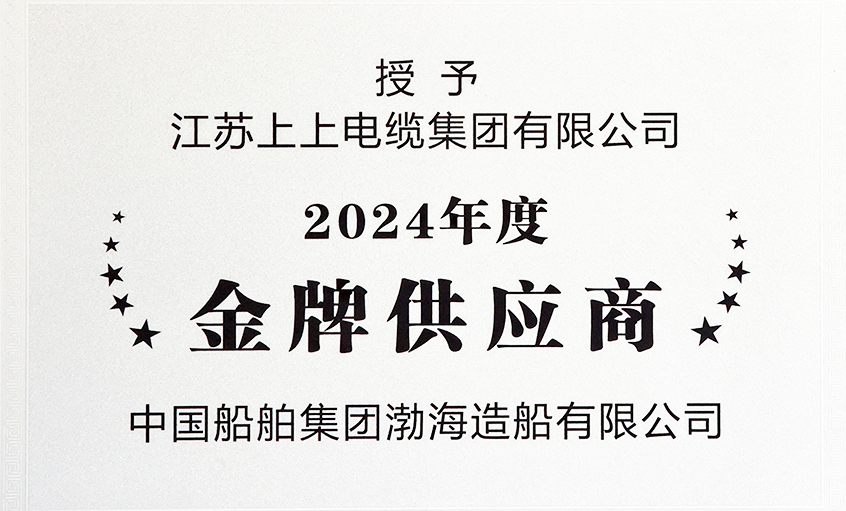 澳门免费原料荣获渤海造船2024年度“金牌供应商”