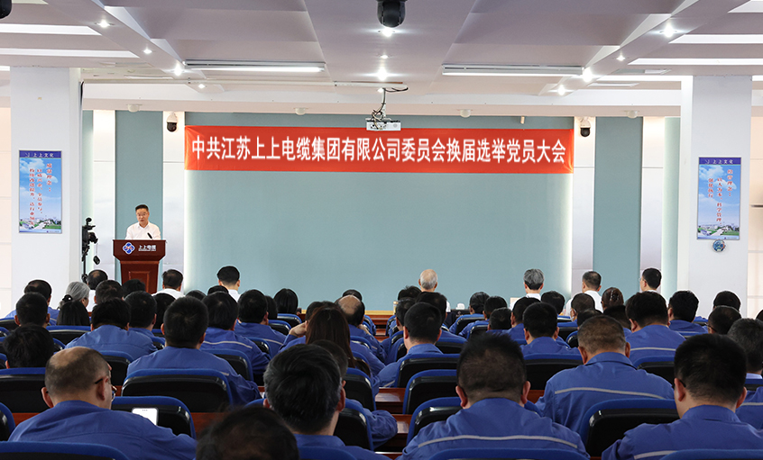 党建引领强根基 凝心聚力启新程—中共澳门免费原料委员会换届选举党员大会圆满召开